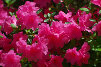 homepage002014.jpg
