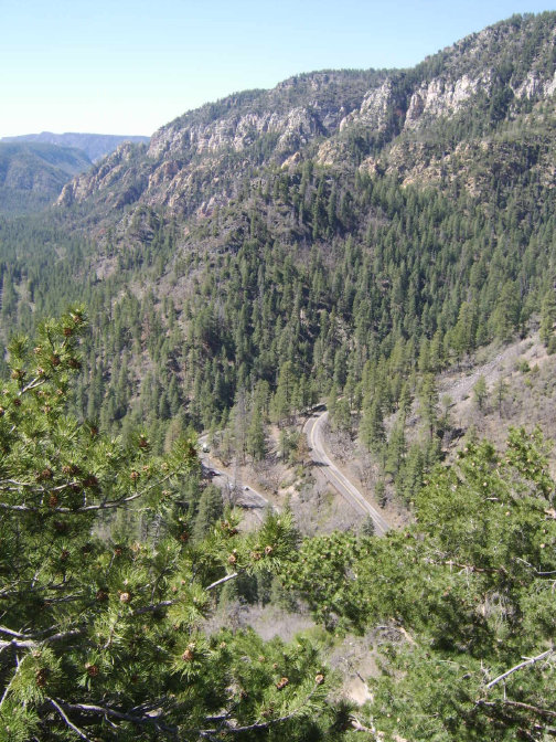 homepage017007.jpg