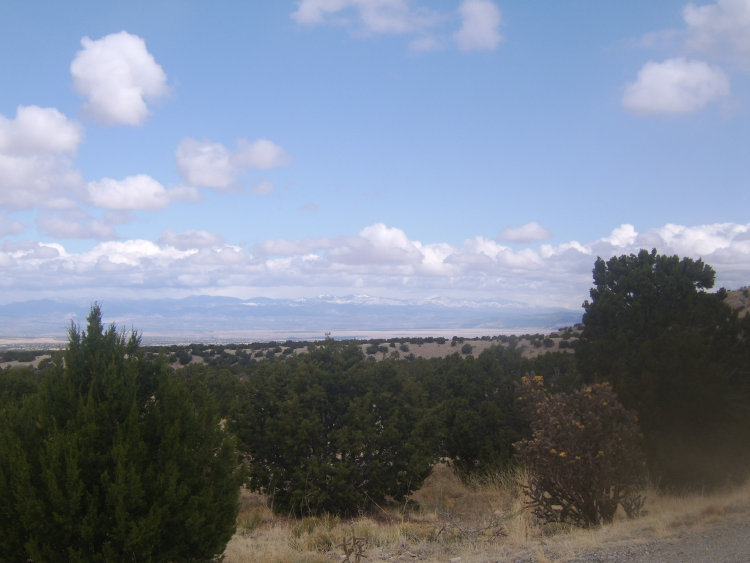 homepage021003.jpg